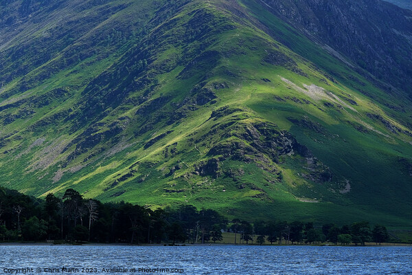 Steep fell hillside, Buttermere, Lake District, Cumbria Picture Board by Chris Mann