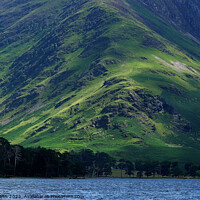 Buy canvas prints of Steep fell hillside, Buttermere, Lake District, Cumbria by Chris Mann