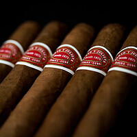 Buy canvas prints of 5 Cuban Cigars by Martyn Large