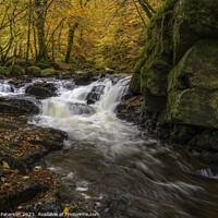 Buy canvas prints of Birks of Aberfeldy by Peter Paterson