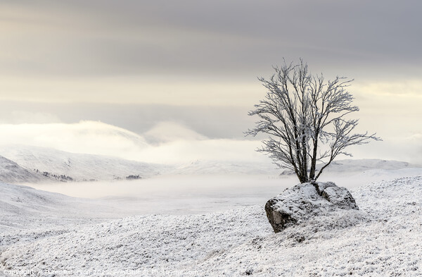 Misty Snow Scene looking towards Loch Tulla Scotla Picture Board by Peter Paterson