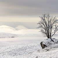 Buy canvas prints of Misty Snow Scene looking towards Loch Tulla Scotla by Peter Paterson