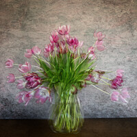 Buy canvas prints of Vase of Tulips by Peter Paterson