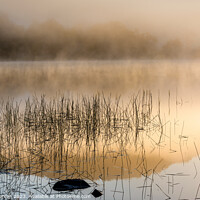 Buy canvas prints of Loch Venachar Sunrise by Peter Paterson