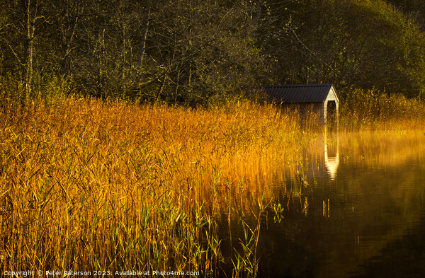 Boathouse on Loch Ard in the Trossachs Picture Board by Peter Paterson