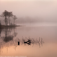 Buy canvas prints of Loch Ard Sunrise by Peter Paterson
