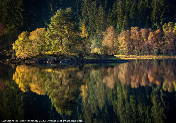 Autumn colour on Loch Chon  Picture Board by Peter Paterson