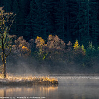 Buy canvas prints of Sunlit trees on Loch Chon in the Trossachs by Peter Paterson