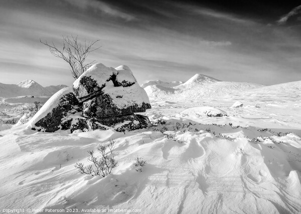 Winter on Rannoch Moor Picture Board by Peter Paterson