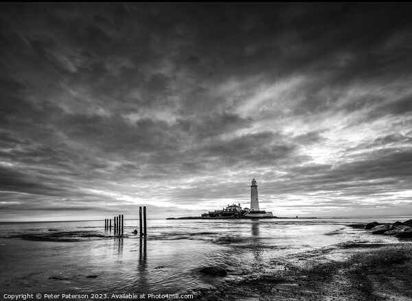 St Mary's Lighthouse Picture Board by Peter Paterson