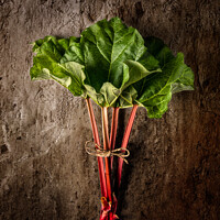 Buy canvas prints of Rhubarb by Peter Paterson
