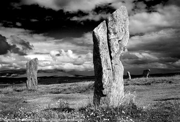 Callanish Standing Stones Picture Board by Peter Paterson