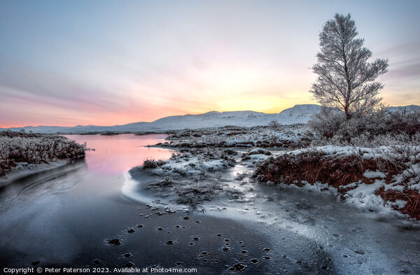 Frosty Morning on Rannoch Moor Picture Board by Peter Paterson