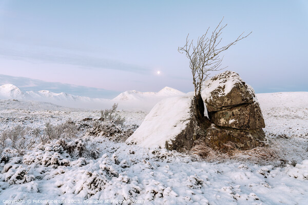 Winter Morning on Rannoch Moor Picture Board by Peter Paterson