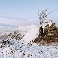 Buy canvas prints of Winter Morning on Rannoch Moor by Peter Paterson