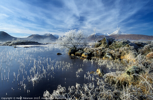 Hoar Frost on Lochan Nah Achlaise Picture Board by Peter Paterson