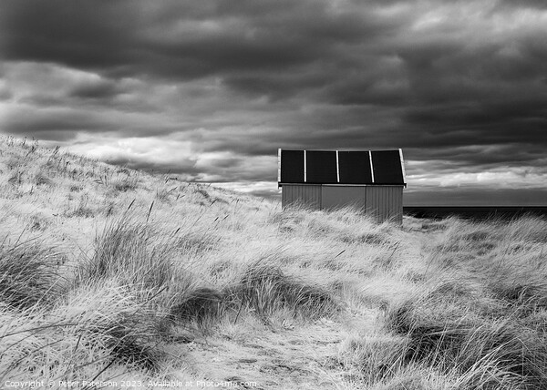 Shed in Dunes  Picture Board by Peter Paterson