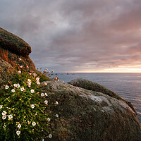 Buy canvas prints of Serene Sunset over Lands End by Matthew Grey