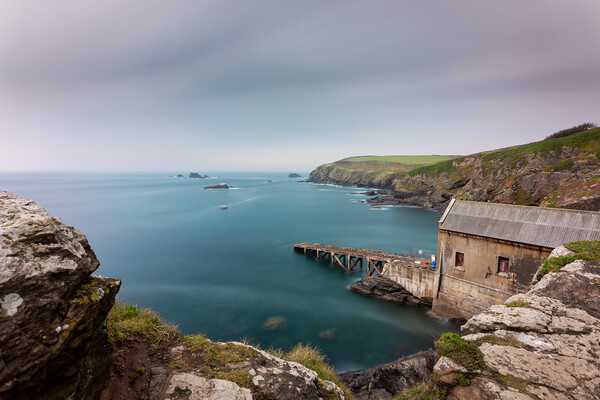 Abandoned Beauty at Lizard Point Picture Board by Matthew Grey