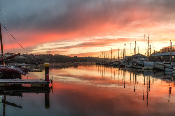 Serenity at Penryn Harbour Picture Board by Matthew Grey