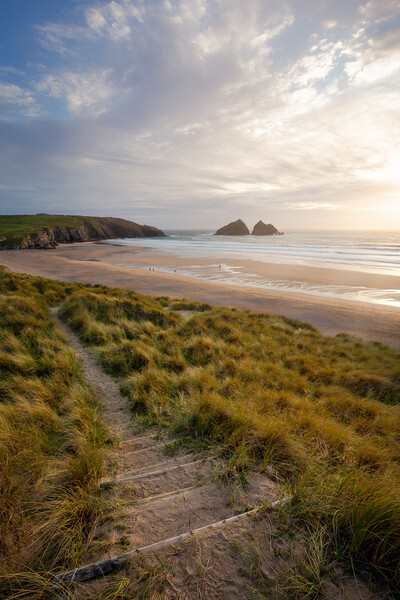 Serene Path Through Holywell Bay Dunes Picture Board by Matthew Grey
