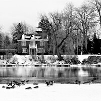 Buy canvas prints of Magical Winter Wonderland in Chippawa by Patricia Lee