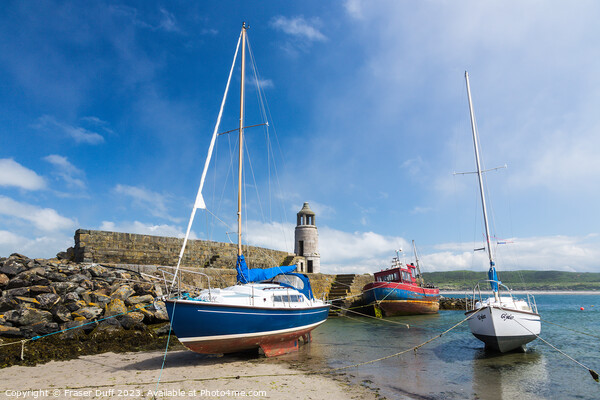 Port Logan Harbour, Rhinns of Galloway, Scotland Picture Board by Fraser Duff