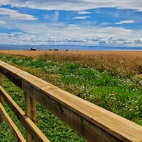 Buy canvas prints of Fields of Anstruther by Lowercase b Studio 