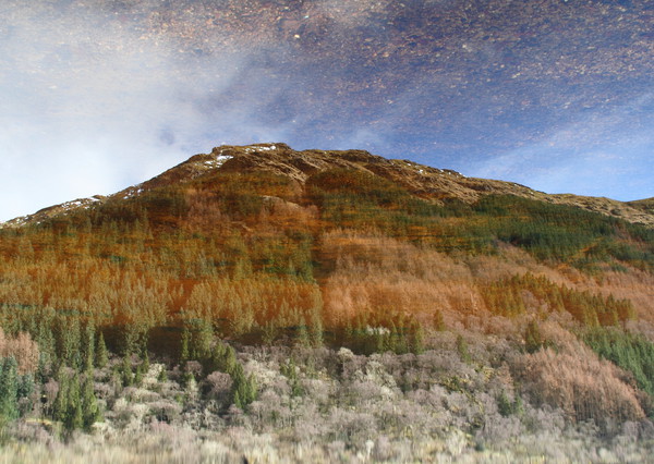 Reflection On Loch Eck Picture Board by Dave Menzies