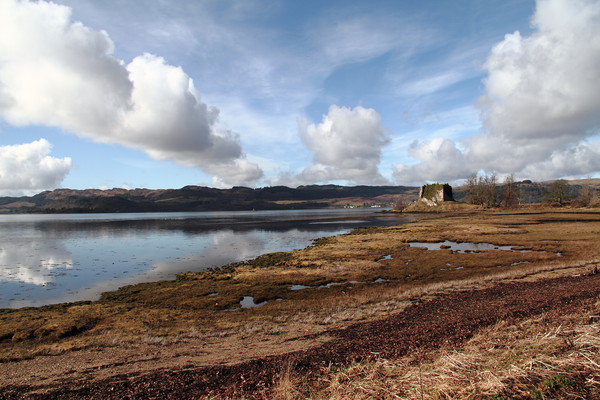 Lachlan Castle On Loch Fyne Picture Board by Dave Menzies