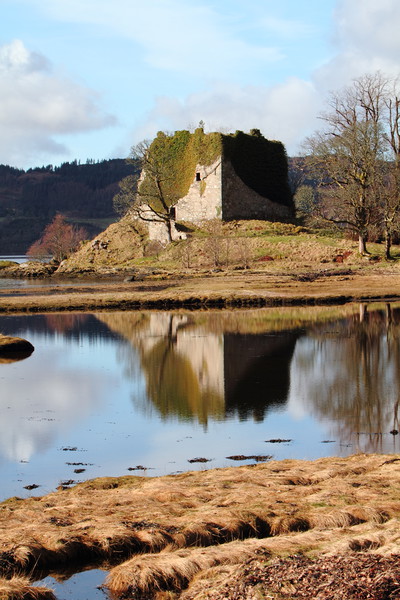 Lachlan Castle, Loch Fyne Picture Board by Dave Menzies