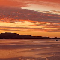 Buy canvas prints of Bute Ferry at Sunset by Dave Menzies
