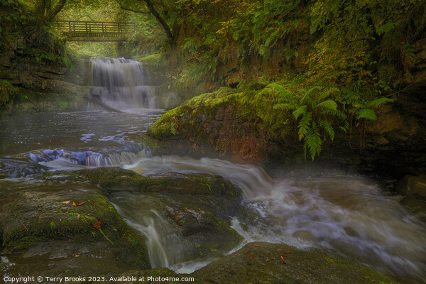 Sychryd Waterfall Fairy Glen Pontneddfechan Picture Board by Terry Brooks
