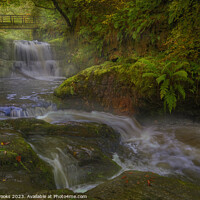 Buy canvas prints of Sychryd Waterfall Fairy Glen Pontneddfechan by Terry Brooks