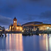 Buy canvas prints of Cardiff Bay and Marina ft the Pierhead Building the Sennedd and Millenium Centre by Terry Brooks