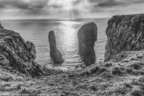 Elegug Stacks Pembrokeshire Coast Black and White Picture Board by Terry Brooks