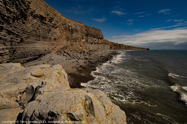 The Heritage Coast Cliffs Stretching out to the Horizon Picture Board by Terry Brooks