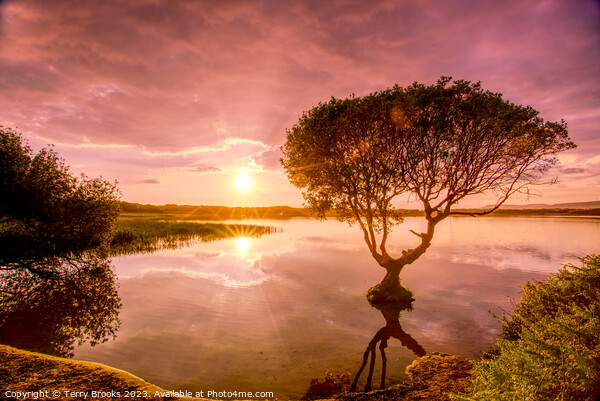 Sunset over Kenfig Pool Picture Board by Terry Brooks