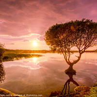 Buy canvas prints of Sunset over Kenfig Pool by Terry Brooks