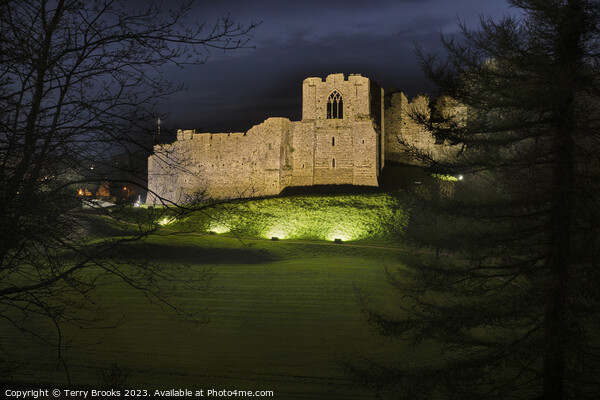Oystermouth Castle at Night Picture Board by Terry Brooks