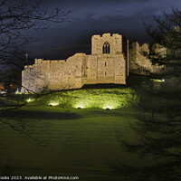 Buy canvas prints of Oystermouth Castle at Night by Terry Brooks