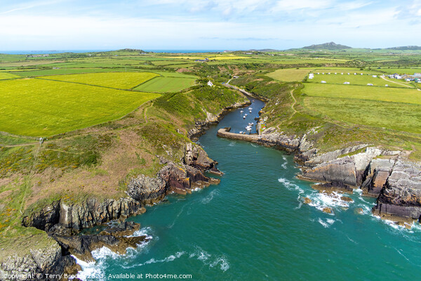 Porthclais Harbour, Aerial View Pembrokeshire, West Wales Picture Board by Terry Brooks