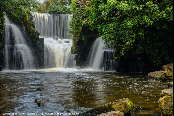 Penllergaer Waterfall Swansea Wales Picture Board by Terry Brooks