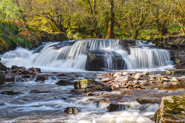 Pont Cwfedwen Waterfall Brecon Beacons Wales Picture Board by Terry Brooks