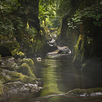 Buy canvas prints of Fairy Glen North Wales by Terry Brooks