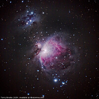 Buy canvas prints of The Great Nebula in Orion M42 by Terry Brooks