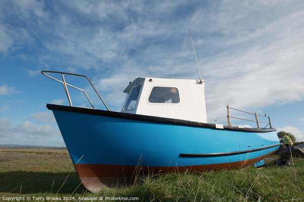 Old Blue Boat Penclawdd Gower Picture Board by Terry Brooks