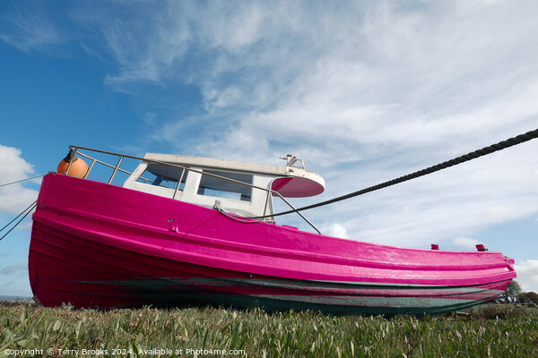 Old Pink Boat Penclawdd Gower Picture Board by Terry Brooks
