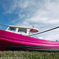 Buy canvas prints of Old Pink Boat Penclawdd Gower by Terry Brooks