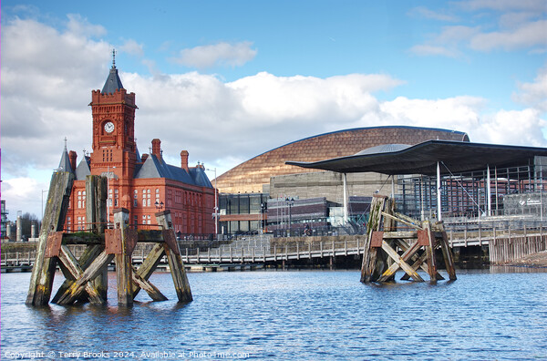 Cardiff Bay Pierhead, Senedd and Millenium 280-82 HDR Picture Board by Terry Brooks
